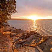 what do you see when you look out the window?