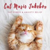 Cat Stress & Anxiety Relief