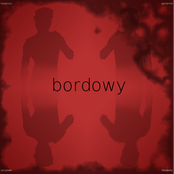 bordowy