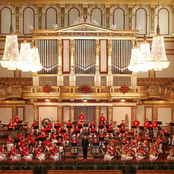 chinese conservatory national orchestra