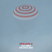 Silk Songs For Space Dogs