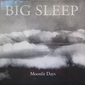 Moonlit Days