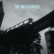 The Wallflowers: Collected: 1996-2005