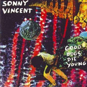 Lines On My Mirror by Sonny Vincent