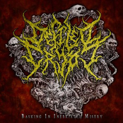 Basking in Inebriated Misery