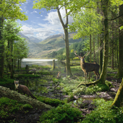 Europe: Earth Sounds