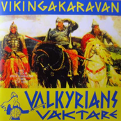 Sveriges Fana by Valkyrians Väktare