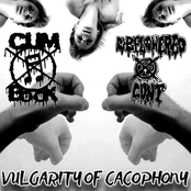 Vulgarity of Cacophony
