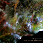 Landing on earth