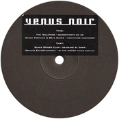 Venus Noir