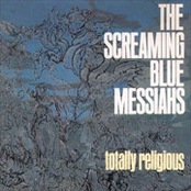 Big Big Sky by The Screaming Blue Messiahs