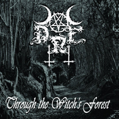 Through The Witch's Forest