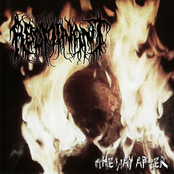 The Beauty Of Our Savage Ways by Abominant