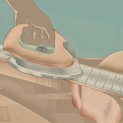 Stay (Morgan Buckley Remix)