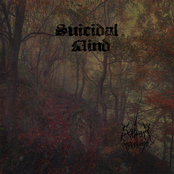Suicidal Mind