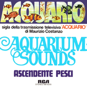 Acquario / Ascendente Pesci