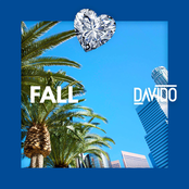 Davido: Fall