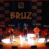 bruz