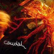 CAUDAL
