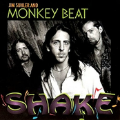 Voodoo Light by Jim Suhler & Monkey Beat