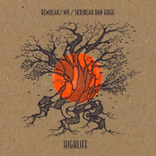 In Dreams / Patterns