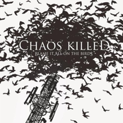 Blame it All on the Birds