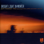Bright Light in Winter