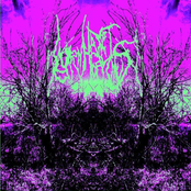 tween dornsedu blasct ovtein