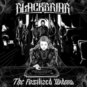 The Fossilized Widow