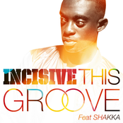 This Groove Ft. Shakka (Radio Edit)