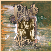 After the Gold Rush: The Dawn / Pye Anthology 1973-77