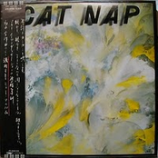 Cat Nap
