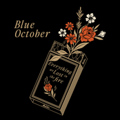 Everything We Lost In The Fire