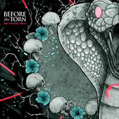 Heartriders by Before The Torn