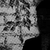 Upon The Tender Blade