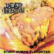 Tribe Of The Glutinous Tissue by Dead Infection