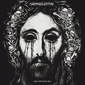 Split With Led By Fear