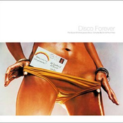 Disco Forever