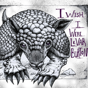 I Wish I Were Levar Burton