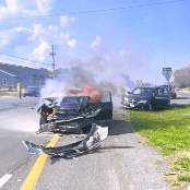 The Real Will Prosper