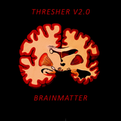 Brain Matter