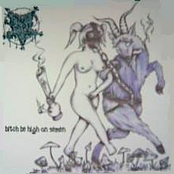 Bitch Be High On Semen