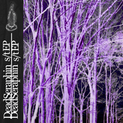 DeadSeraphin EP