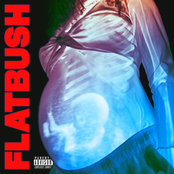 Flatbush Zombies: Afterlife