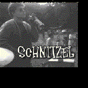 Schnitzel