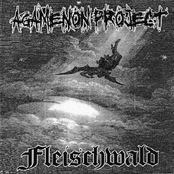 agamenon project / fleischwald