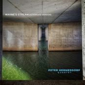 Wayne's Stream (Alternate Version)