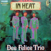 In Heat by Dee Felice Trio