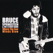 You Never Can Tell by Bruce Springsteen & The E Street Band