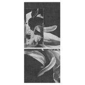 Nathan Ivanco & Beton Tåge